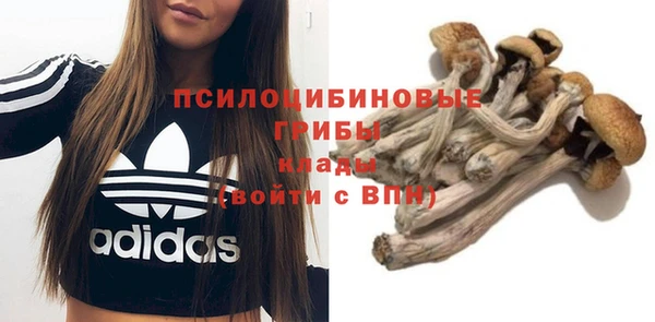таблы Липки