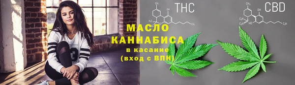 стаф Майский