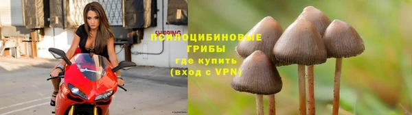 кокаин VHQ Магас