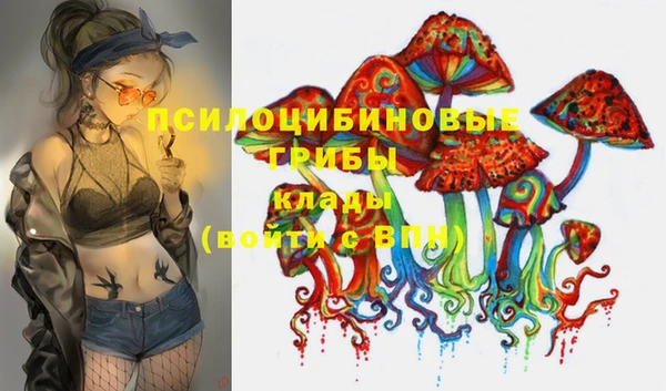 бошки Лихославль