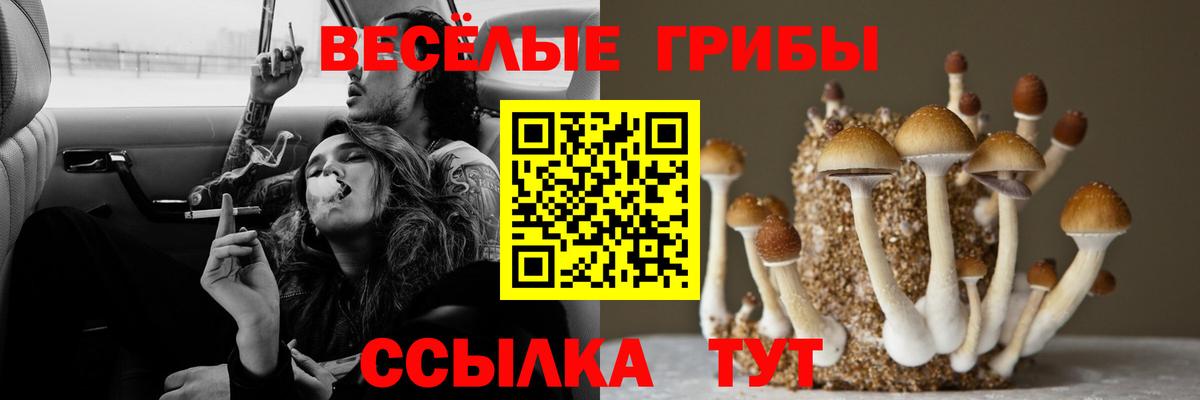 Галлюциногенные грибы GOLDEN TEACHER  Усть-Кут 